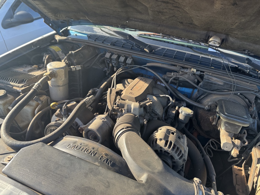 Pacific Auto Auction 2025.10.28.IMG_0503.JPG