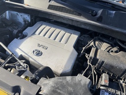 Pacific Auto Auction 2025.10.28.IMG_0549.JPG