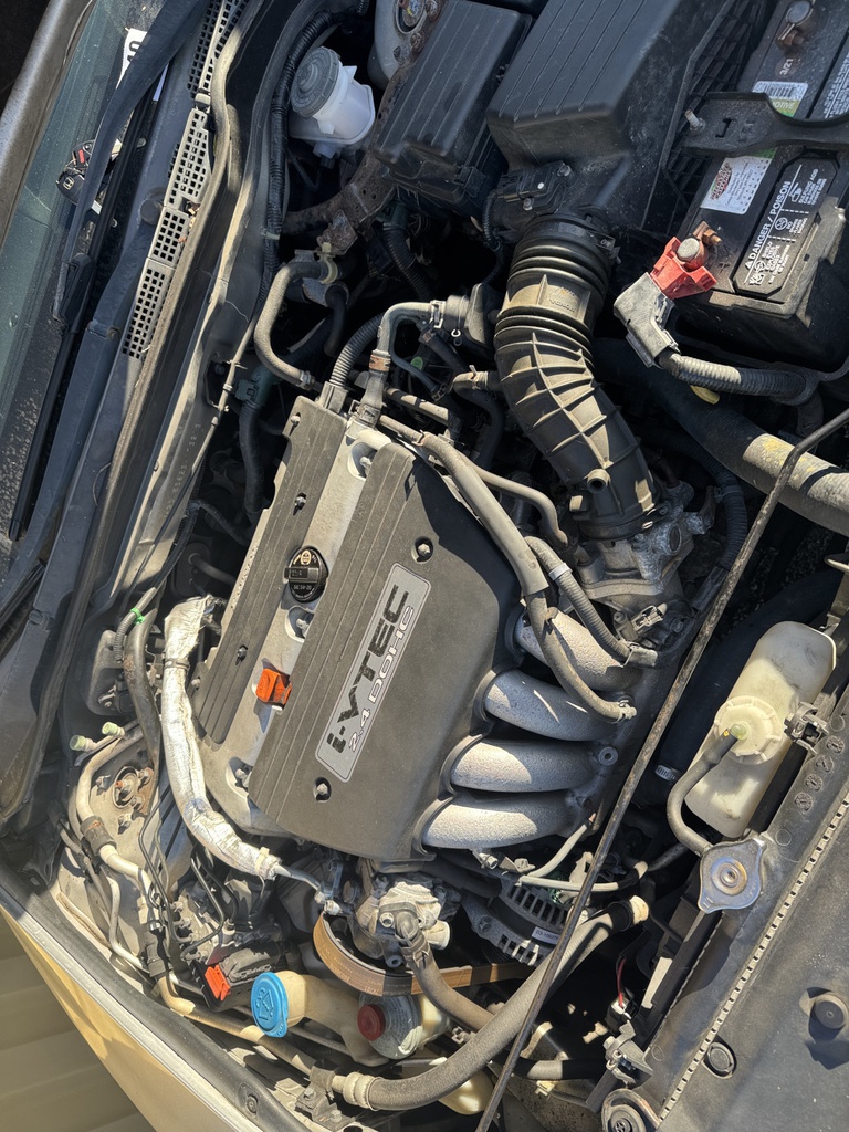 Pacific Auto Auction 2025.10.28.IMG_0582.JPG