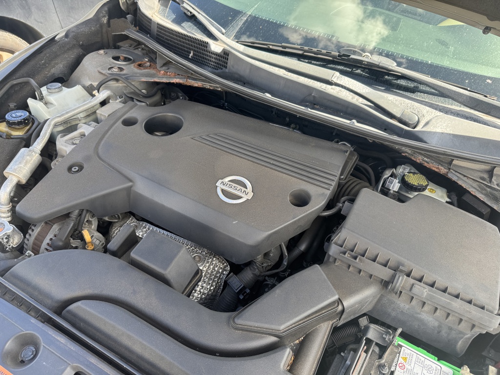 Pacific Auto Auction 2025.10.28.IMG_0695.JPG