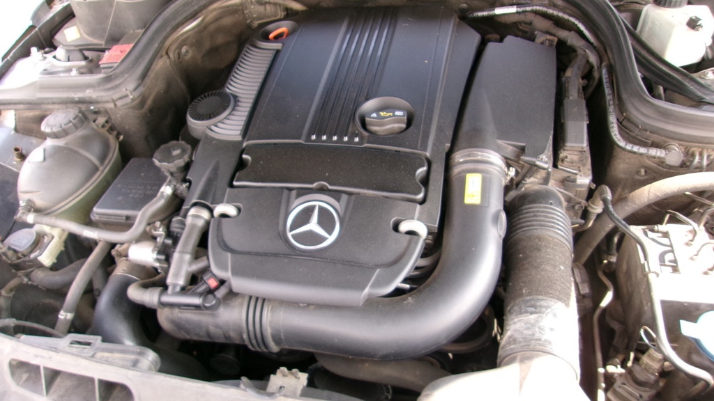 Pacific Auto Auction 2025.10.07.100_0459.JPG