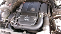 Pacific Auto Auction 2025.10.07.100_0459.JPG