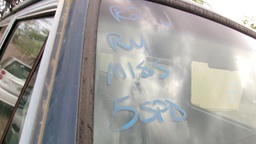 Pacific Auto Auction 2025.10.14.100_0283.JPG