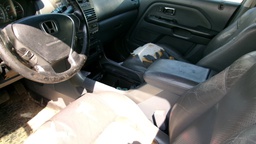 Pacific Auto Auction 2025.10.14.100_0142.JPG