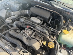 Pacific Auto Auction 2025.10.21.IMG_0179.JPG