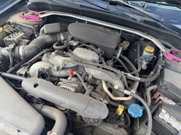 Pacific Auto Auction 2025.10.21.IMG_0268.JPG