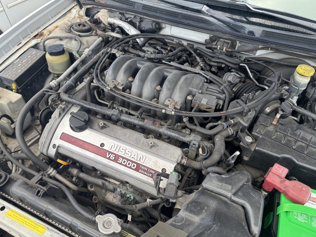 Pacific Auto Auction 2025.10.28.IMG_0648.JPG