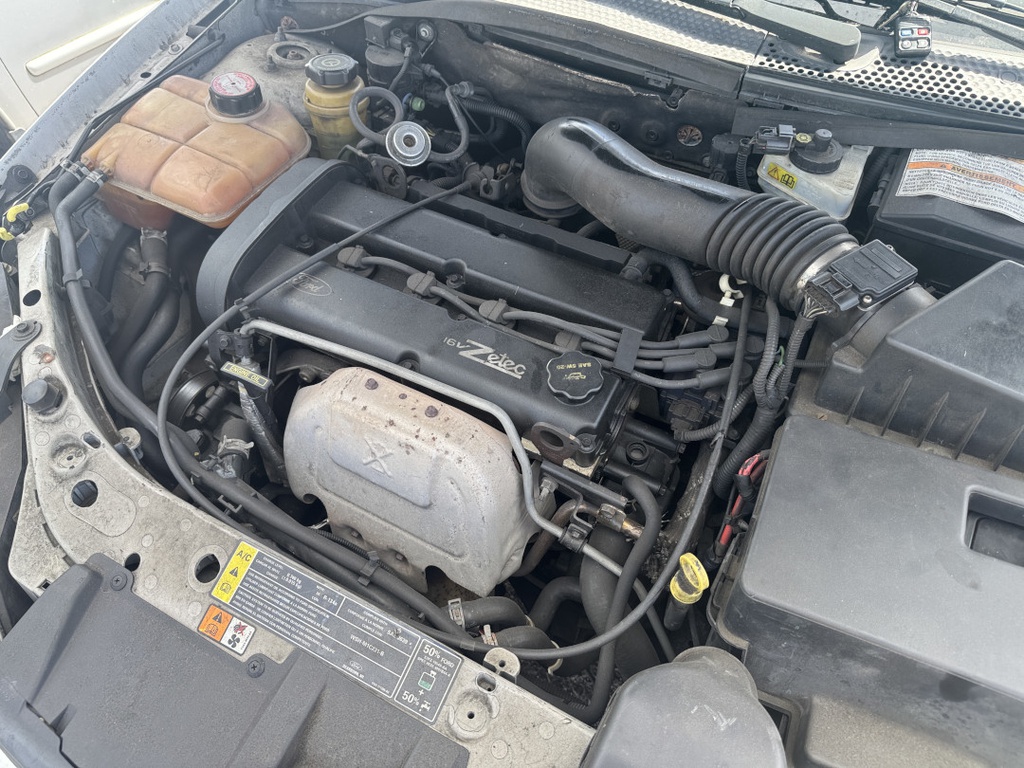 Pacific Auto Auction 2025.10.28.IMG_0637.JPG