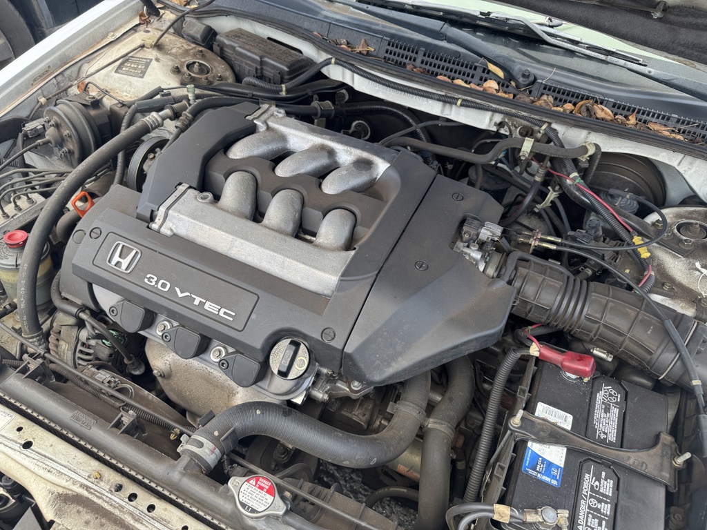 Pacific Auto Auction 2025.10.28.IMG_0658.JPG