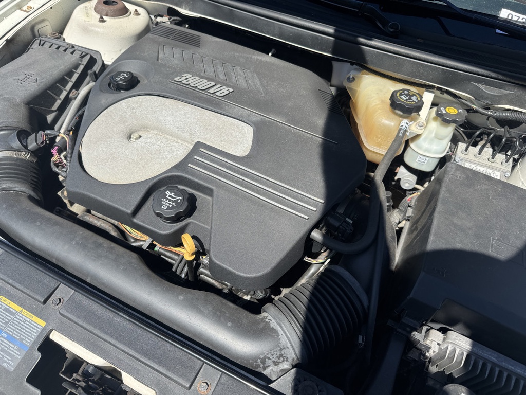 Pacific Auto Auction 2025.11.04.IMG_0749.JPG