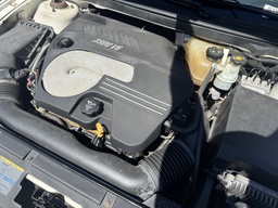 Pacific Auto Auction 2025.11.04.IMG_0749.JPG