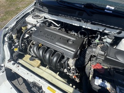 Pacific Auto Auction 2025.11.04.IMG_0782.JPG