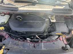 Pacific Auto Auction 2025.11.04.IMG_0804.JPG