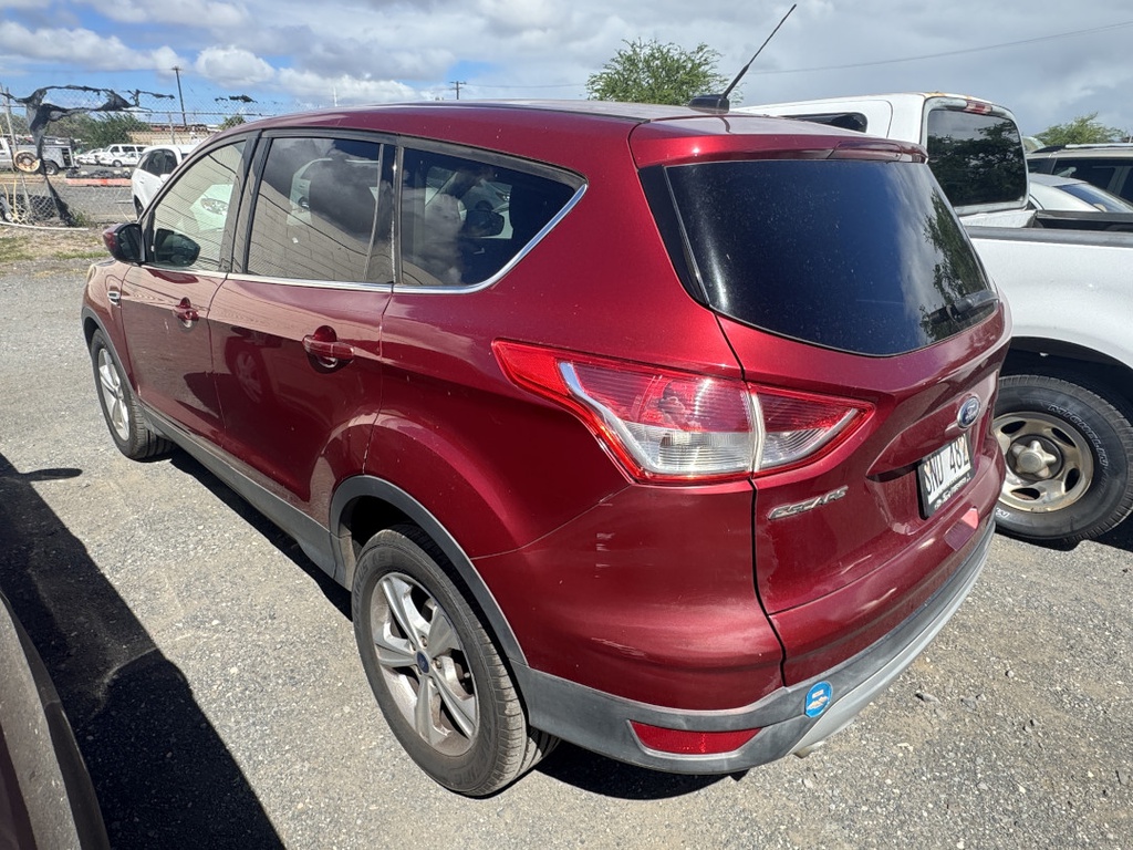 Pacific Auto Auction 2025.11.04.IMG_0810.JPG