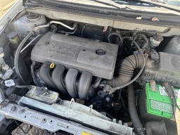 Pacific Auto Auction 2025.11.04.IMG_0826.JPG