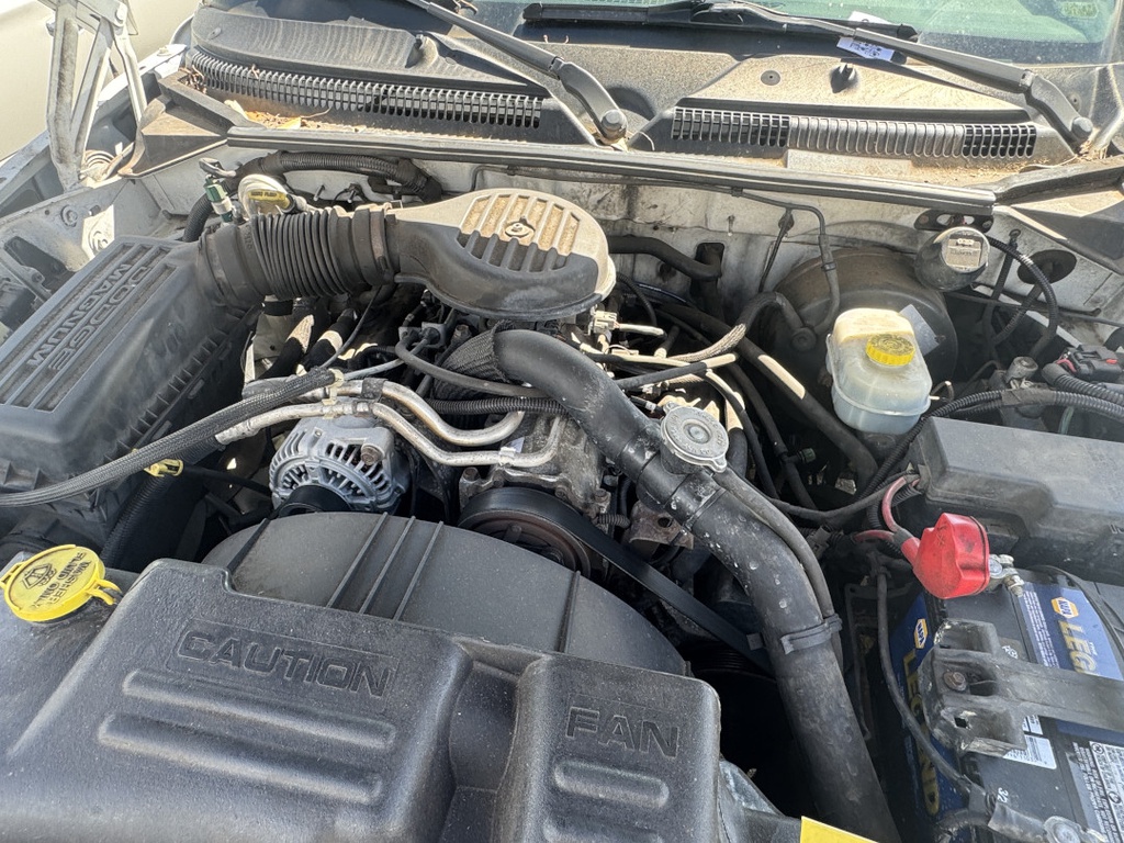 Pacific Auto Auction 2025.11.04.IMG_0848.JPG