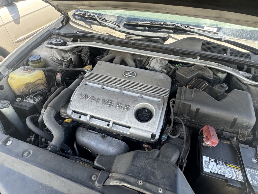 Pacific Auto Auction 2025.11.04.IMG_0859.JPG