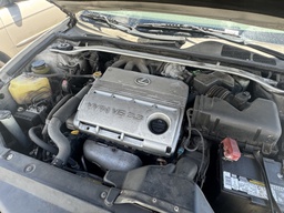 Pacific Auto Auction 2025.11.04.IMG_0859.JPG