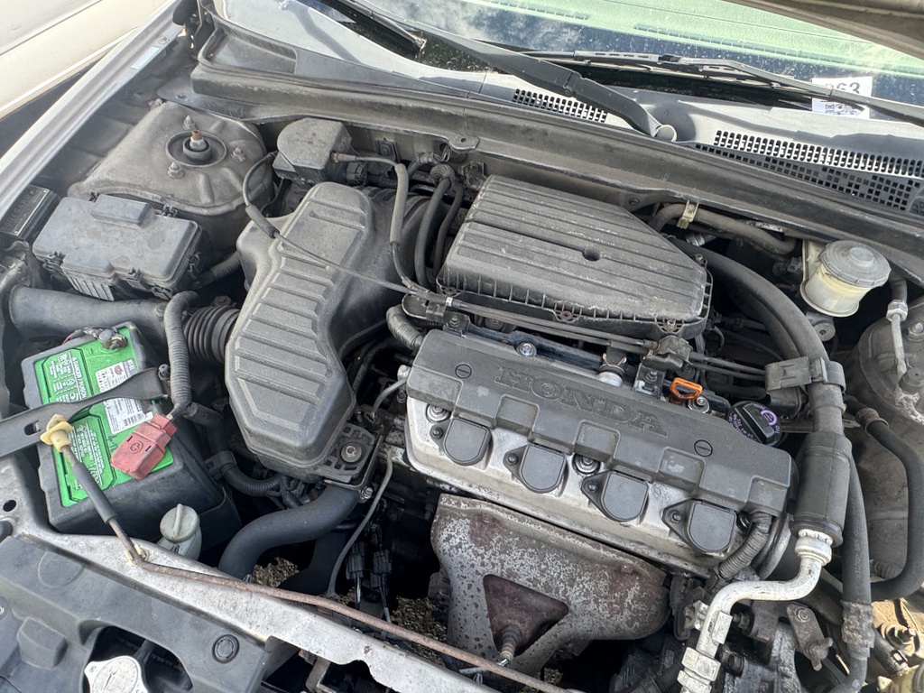 Pacific Auto Auction 2025.11.04.IMG_0870.JPG