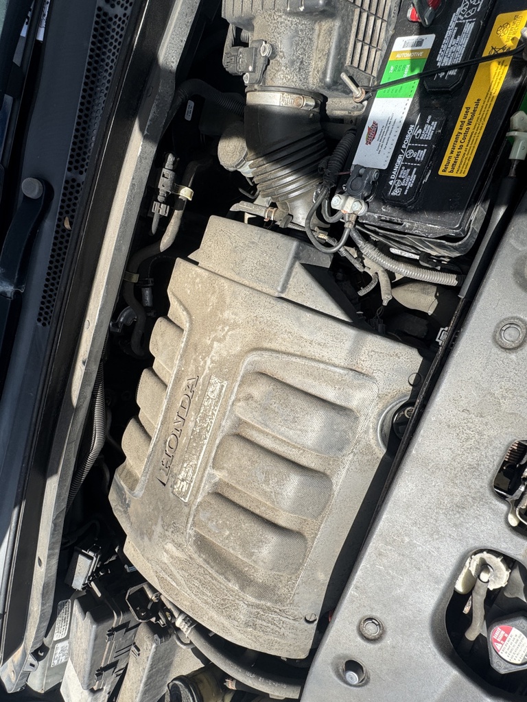 Pacific Auto Auction 2025.11.04.IMG_0905.JPG