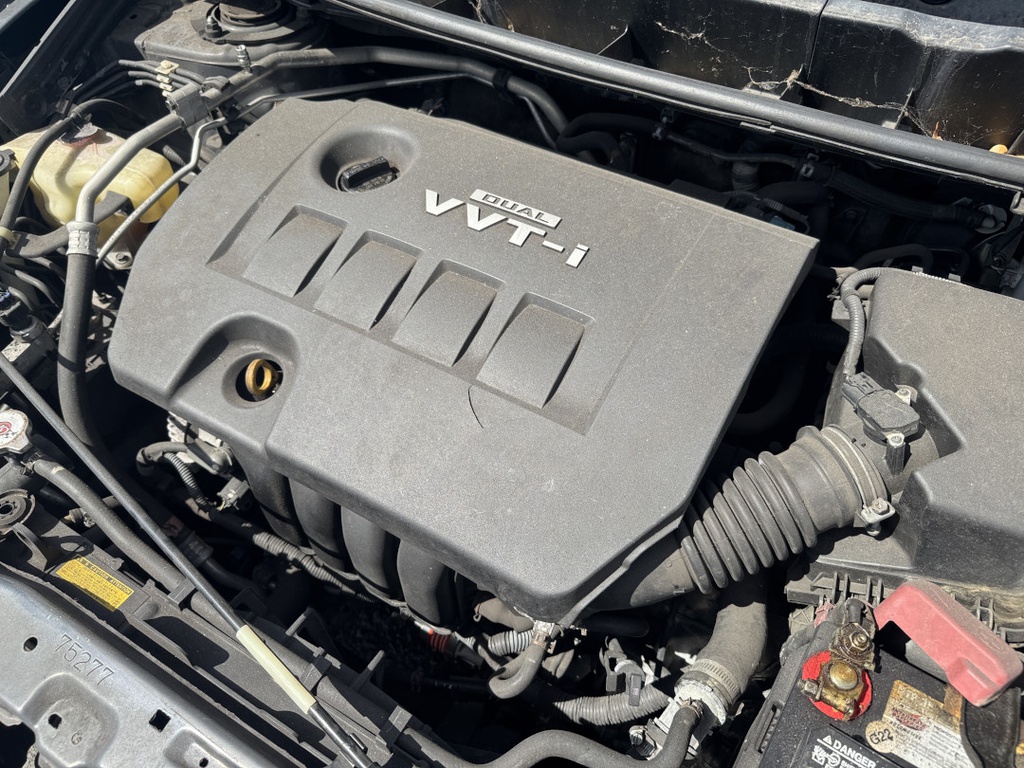 Pacific Auto Auction 2025.11.04.IMG_0949.JPG