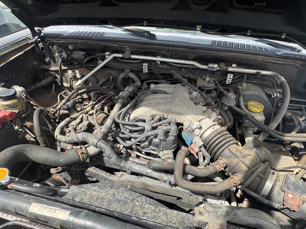 Pacific Auto Auction 2025.11.04.IMG_0982.JPG