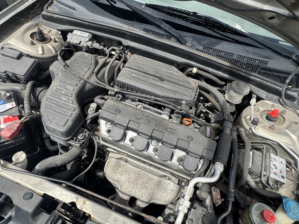 Pacific Auto Auction 2025.11.04.IMG_0993.JPG