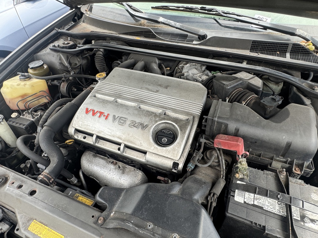 Pacific Auto Auction 2025.11.04.IMG_1017.JPG