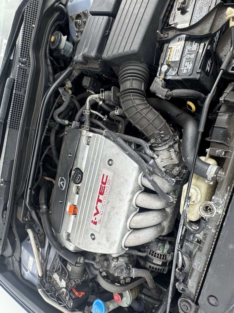 Pacific Auto Auction 2025.11.04.IMG_1028.JPG