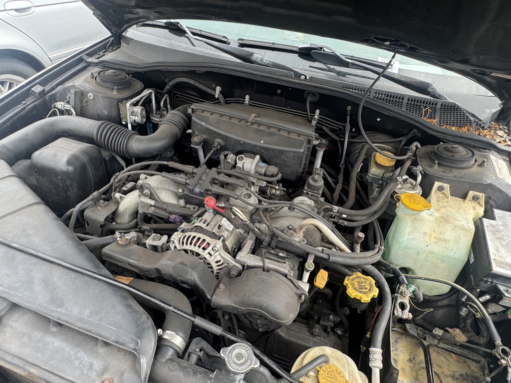 Pacific Auto Auction 2025.11.04.IMG_1050.JPG