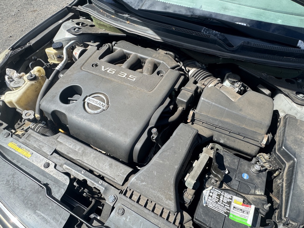 Pacific Auto Auction 2025.11.04.IMG_1064.JPG