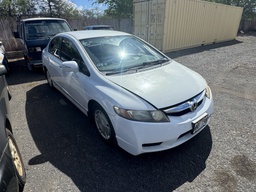 Pacific Auto Auction 2025.11.04.IMG_1073.JPG