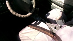 Pacific Auto Auction 2025.08.12.100_0456.JPG