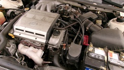 Pacific Auto Auction 2025.10.14.100_0302.JPG