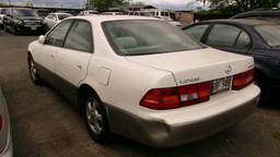 Pacific Auto Auction 2025.10.14.100_0307.JPG