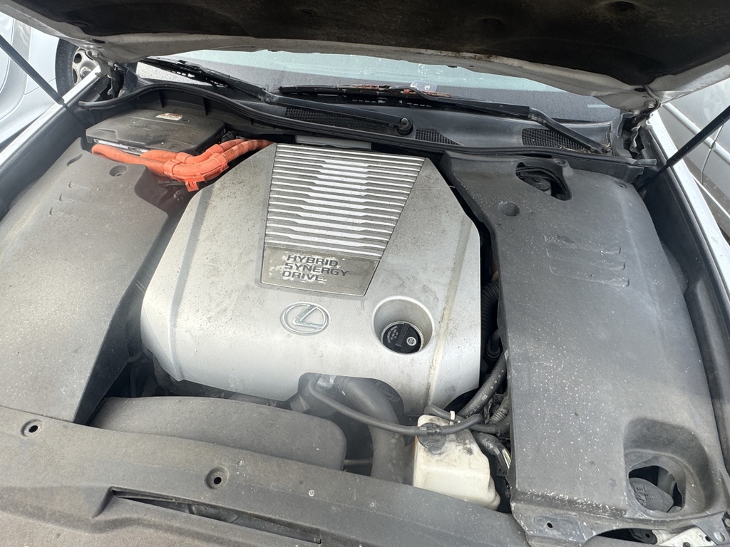 Pacific Auto Auction 2025.11.11.IMG_1105.JPG