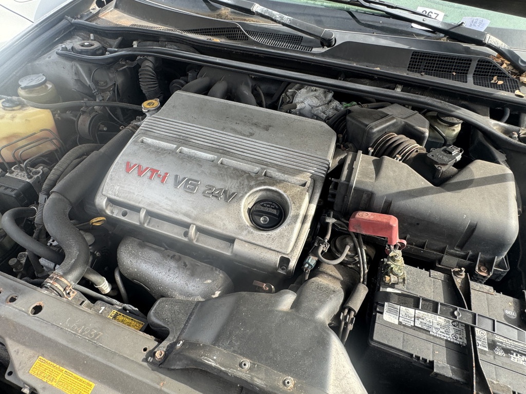 Pacific Auto Auction 2025.11.11.IMG_1149.JPG