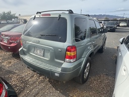 Pacific Auto Auction 2025.11.11.IMG_1179.JPG