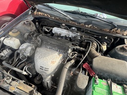 Pacific Auto Auction 2025.11.11.IMG_1200.JPG