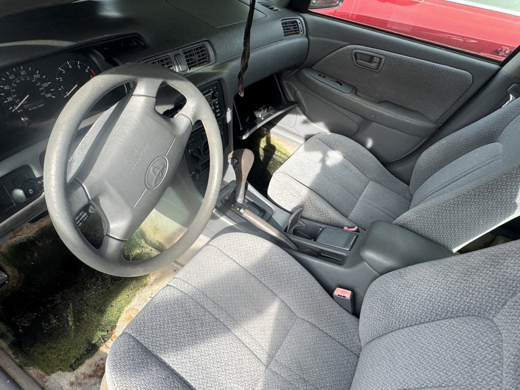 Pacific Auto Auction 2025.11.11.IMG_1207.JPG