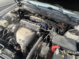 Pacific Auto Auction 2025.11.11.IMG_1253.JPG