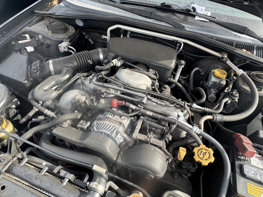 Pacific Auto Auction 2025.11.11.IMG_1297.JPG