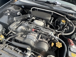 Pacific Auto Auction 2025.11.11.IMG_1297.JPG