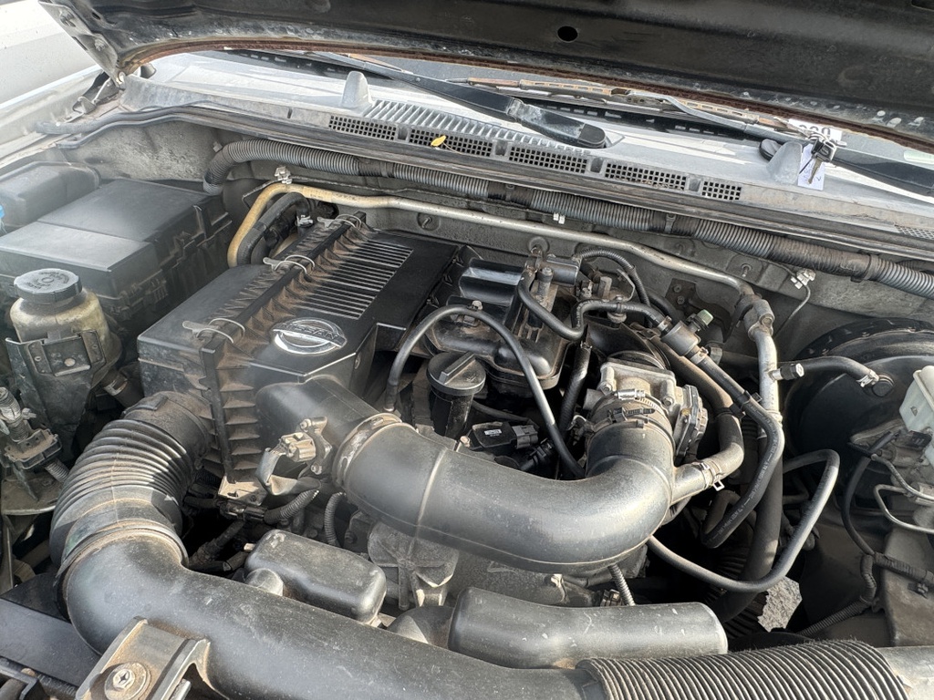 Pacific Auto Auction 2025.11.11.IMG_1330.JPG