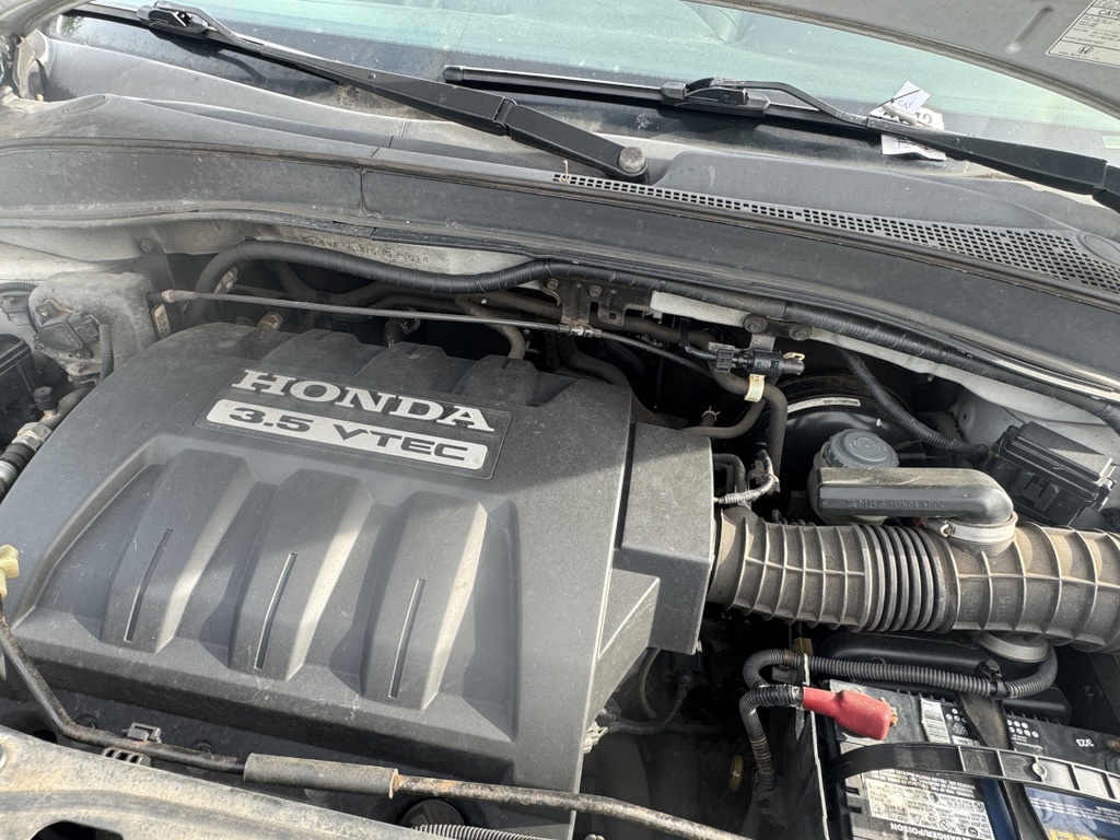 Pacific Auto Auction 2025.11.11.IMG_1362.JPG