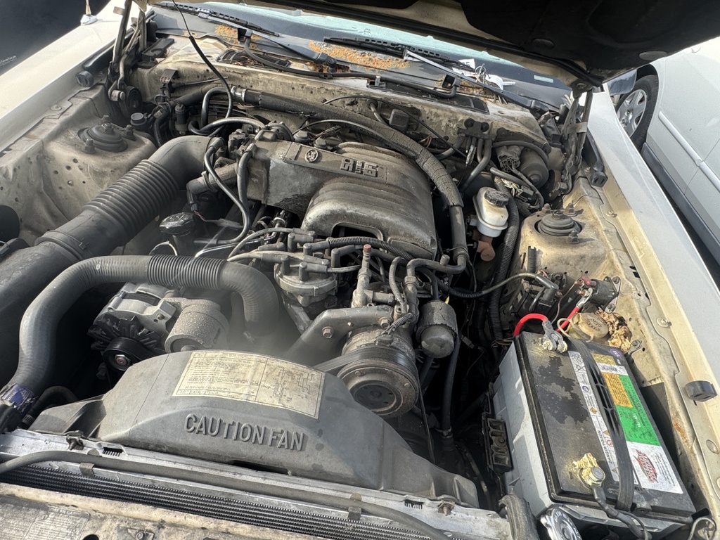 Pacific Auto Auction 2025.11.11.IMG_1413.JPG