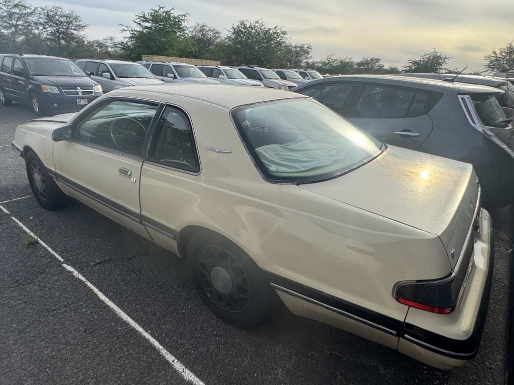 Pacific Auto Auction 2025.11.11.IMG_1418.JPG