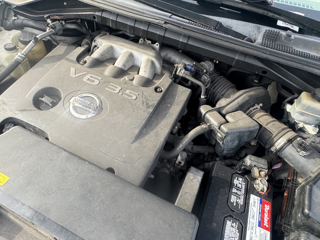 Pacific Auto Auction 2025.11.11.IMG_1454.JPG