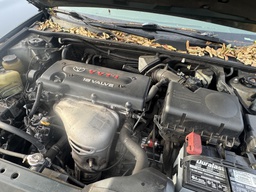 Pacific Auto Auction 2025.11.11.IMG_1487.JPG