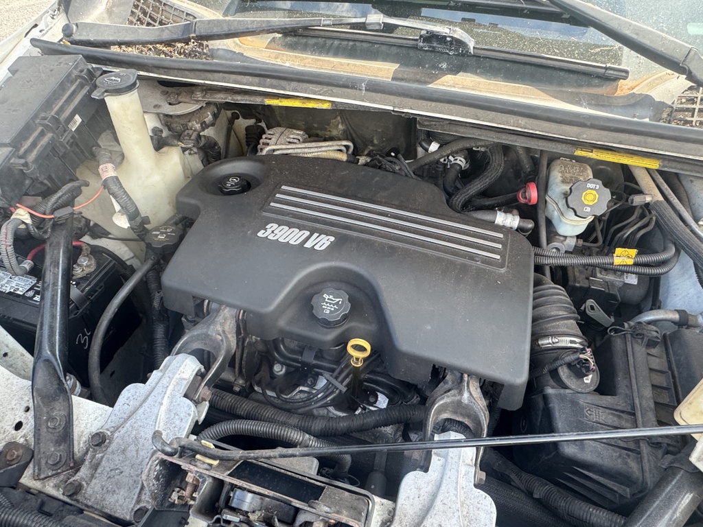 Pacific Auto Auction 2025.11.11.IMG_1532.JPG